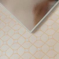 Plaques de plafond suspendu en PVC 2x2 2x4 Classe A ignifuges, étanches et anti-humidité, nettoyables, système de grille suspendue pour plafond.