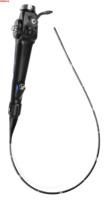 Endoscope vétérinaire haute résolution pour grands et petits animaux machine endoscopique vidéo à Source lumineuse intégrée