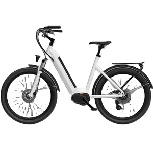 Nieuwe Model Bafang Midden Motor 36V 250W Ebike Elektrische Fiets