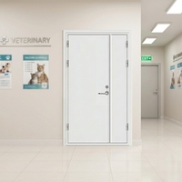 Porte coupe-feu en acier Yonking au design moderne, conforme aux normes UL, pour passage à fort trafic en milieu hospitalier