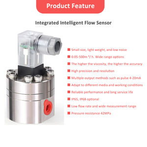 Medidor de flujo de engranaje micro ovalado de alta precisión 0.5% 30-6000 L/H Medidor de flujo de combustible de agua con pegamento líquido de acero inoxidable Medición - Product Image 3