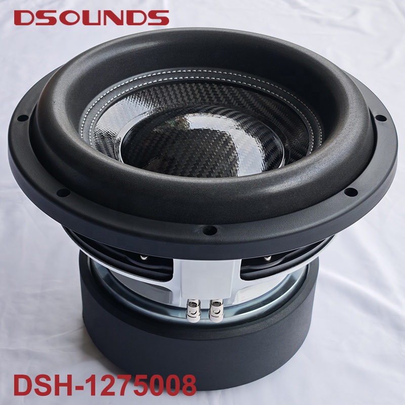 Powerful Sound Solutions for Business: Your Ideal 2000w rms speakers