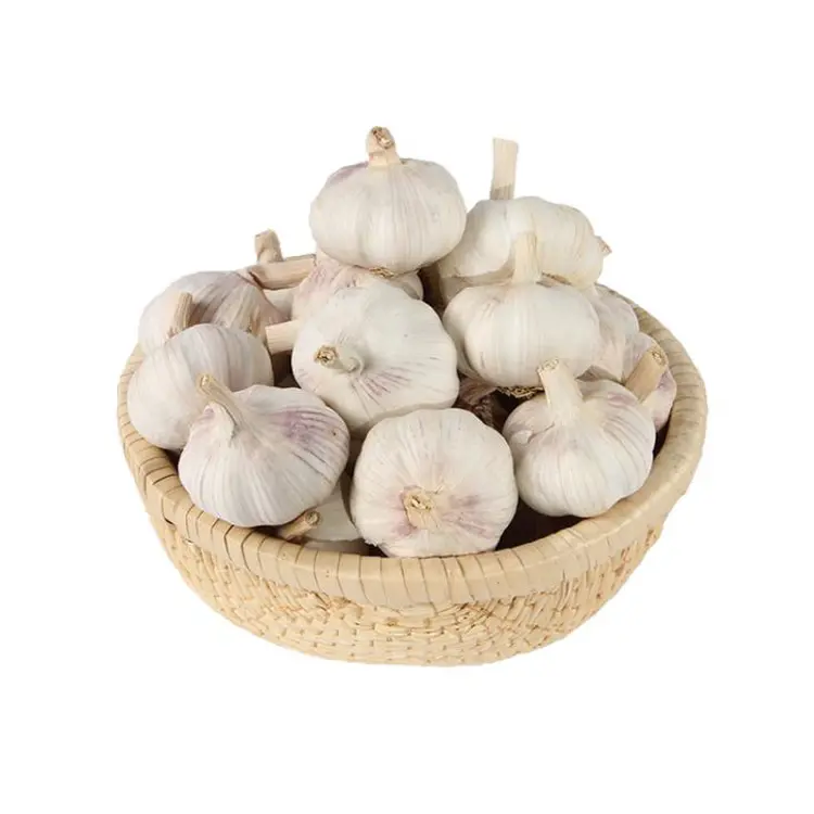 GAP Certified Garlic Fresh New Crop Supplied by Garlic Exporters China for Europe Garlic Market