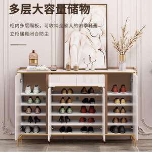 Internet célébrité lumière luxe armoire à chaussures moderne Simple maison porte 2023 nouveau Style populaire mur d'entrée - Product Image 2