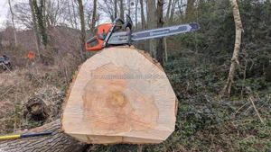 New Husq-va-rna 592XP Chain <b>Saw</b> <b>Power</b> Chain <b>Saw</b> <b>Saw</b> Mill Machine Wood Cutting Chainsaw Petrol Chain <b>Saw</b> - Product Image 1