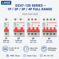 Pemutus Sirkuit Miniatur Liangkai DZ47s 3P 2-Pole 25A 6kA Kapasitas Pemutusan 230/400V Pemasangan Panel dengan Proteksi Li