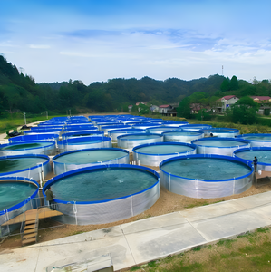 Tanques de Cultivo de Peces Flotantes de PVC para Acuicultura Comercial Portátiles, Venta Caliente de Fábrica, Personalizables, Reemplazo de Jaulas para Peces - Product Image 1