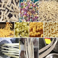 Machine à pâtes compacte automatique italienne électrique 100 kg pour spaghetti, pâtes, macaronis et bananes (ou banane)
