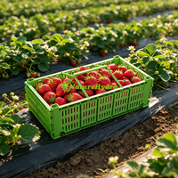 Panier pliable en plastique pour fruits et fraises, panier de cueillette en plastique