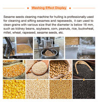 Machine de nettoyage et de décorticage continue pour pois chiches, graines de tournesol, graines de lin, colza et sésame, avec fonction de déshydratation et lave-grains