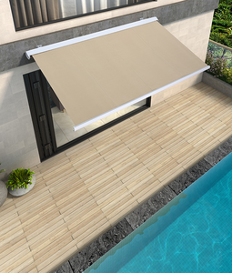 Auvent rétractable motorisé par <span class=keywords><strong>manivelle</strong></span> professionnelle de <span class=keywords><strong>moteur</strong></span> avec le certificat de la CE - Product Image 4