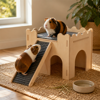 Château pour animaux à 2 niveaux, maison cachette, rampe antidérapante en feutre, bois naturel, assemblage modulaire, espace tunnel arqué pour cochon d'Inde et hamster