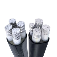 0,6/1kV Kupfer-oder Aluminium-XLPE-Isolierung PVC-gepanzertes unterirdisches Niederspannungs-Stromkabel