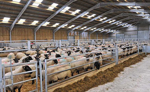<span class=keywords><strong>Maison</strong></span> préfabriquée à faible coût pour l'élevage de chèvres Construction légère Salle d'équitation et ferme de moutons Services de coupe et de soudage inclus - Product Image 4