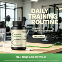 Comprimés d'acides aminés de qualité supérieure à marque privée OEM, 160 unités, spectre complet d'acides aminés pour le soutien de la forme physique
