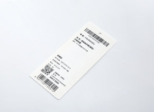 Stampante a Getto d'Inchiostro UV Automatica ANTIAN con Supporto per Stampa a Inchiostro Bianco e Colorato su Carta, Plastica, Metallo, Vetro, Legno, Ecc. - Product Image 5