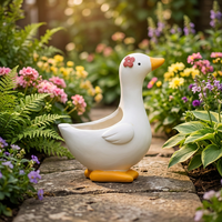 Pot à succulentes en résine personnalisé style canard Roogo, motif animal de dessin animé, trou de drainage personnalisé, fait main, style Japandi pour jardin