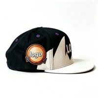 Casquette de baseball vintage personnalisée en gros avec dents de requin, casquette ajustable unisexe, style sportif décontracté, hip-hop, sérigraphiée