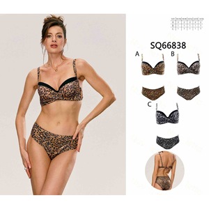 Costume da bagno intero HDJ con stampa leopardata, taglie forti, push-up, scollo profondo, modello conservativo per la spiaggia BZ77119 - Product Image 2