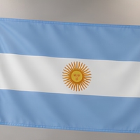 Drapeau de voiture d'Argentine en polyester, mini-bannière rectangulaire à impression numérique, emblème solaire pour décoration extérieure et cyclisme