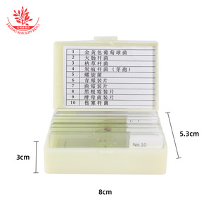 10 Preparaciones Microscópicas de Bacterias y Microbios: Biología y Immunología Patógena, Tinción de Gram, Coqueos y Bacilos - Product Image 1