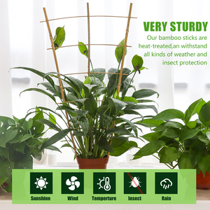 Livraison rapide <span class=keywords><strong>Support</strong></span> de <span class=keywords><strong>jardin</strong></span> en forme d'éventail en treillis de bambou de 2 pieds <span class=keywords><strong>pour</strong></span> <span class=keywords><strong>fleurs</strong></span> et plantes Accessoire de <span class=keywords><strong>jardin</strong></span> durable - Product Image 3