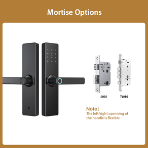 Tenon T09 Apartment Room Waterproof <strong>Biometric</strong> Finger Print Locks Doors Battery Operated Electronic Tuya Smart Door Lock Card - Product Image 6