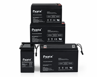 Batterie au plomb-acide régulée par valve scellée Neata VRLA 12V 3Ah 5Ah 7Ah pour système de sécurité, dispositifs d'alarme