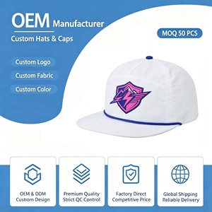 Gorra de Béisbol de Alta Calidad, Estilo Urbano, con Logotipo Bordado en 3D, Diseño de Llama, 5 Paneles, Gamuza Premium, Dos Tonos, con Forro de Satén Personalizado - Product Image 1