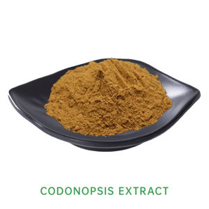 Extrait de Codonopsis Pilosula |   Polysaccharides de Codonopsis |   Peptide de Codonopsis |   Saponines de Codonopsis |   Soutien Vitalité Premium - Product Image 2