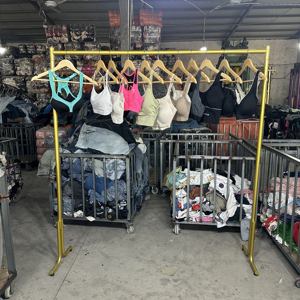 <span class=keywords><strong>Ropa</strong></span> Usada en Pacas Ukay Ukay: Sujetadores Deportivos <span class=keywords><strong>de</strong></span> Segunda Mano para Mujer, Marcas Variadas, en Lote - Product Image 1