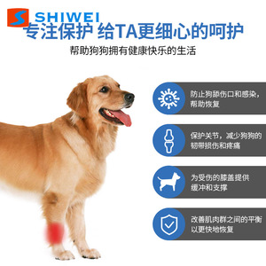 Shiwei Dog Joint <b>Brace</b> Black Xs S M L <b>Knee</b> <b>Support</b> For Pet Injury Protection Four Seasons Nylon Material - Product Image 3