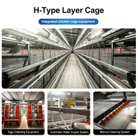 Nouvelle cage à poulets à 4 niveaux de type H, à haute efficacité, pour usage commercial, cage à volailles empilée, cage à poulets en acier galvanisé, système d'élevage en ferme