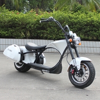 Elektro motorroller mangosteen m1 m1p m2 m8 1500W 2000w 3000w 2 roda baterai lithium dewasa mobilitas citycoco skuter listrik