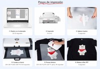 InkSonic Imprimante DTF C13B L1800 13 pouces A3+ programme agence régionale formation et service après-vente