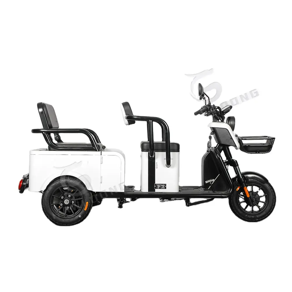 2024 China Open Body Type 3 Wheel Electric Cargo Tricycle For Cargo
