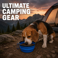 Bol pour animaux de compagnie en silicone platine, compatible micro-ondes, 350 ml, robuste, accessoire de voyage, camping, extérieur, bol à eau personnalisé pour animaux de compagnie