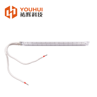 Tête de lampe à particules en céramique Revêtement blanc Twin Tube Quartz Ir Lampe halogène