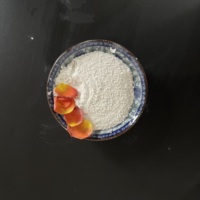 Hydroxyde de calcium Prix dentaire Transport de chaux hydratée Poudre hydratée Chaux éteinte Ca(Oh)2 Prix pour la construction
