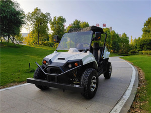 Buggy 2 places, buggy UTV, essieu UTV, pas cher - Product Image 5