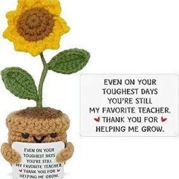 Small Sunflower Potted Plant