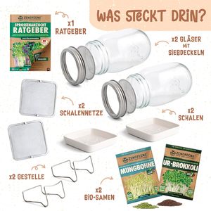 Kit de Cultivo Orgánico Zengreens Incluye 1-3 Bandejas de Germinación de Vidrio, Guía de 50 Páginas, 10 Bandejas de Vivero en Línea de Acero - Product Image 2
