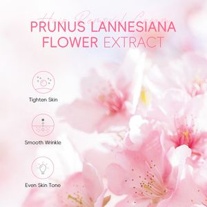 LAIKOU Japon Sakura Crème Dépilatoire Profonde Épilation 5 Min Formule Réduire la Mélanine Lotion Épilateur Naturel des Aisselles des Plantes - Product Image 5