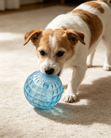 Jouet pour chien en forme de balle à texture diamantée transparente, balle interactive en plastique dur pour animaux de compagnie, jouet d'entraînement durable pour tous les chiens