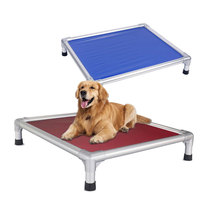Lits surélevés indestructibles en aluminium Taille M L XL avec côtés surélevés Lit pour chien surélevé en PVC Maison pour chien d'extérieur