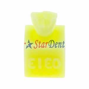 Modèle d'enseignement en résine dentaire, modèle de pratique de remplissage <span class=keywords><strong>composite</strong></span> dentaire, modèle de <span class=keywords><strong>dents</strong></span> en résine <span class=keywords><strong>pour</strong></span> <span class=keywords><strong>les</strong></span> <span class=keywords><strong>dents</strong></span> antérieures ou postérieures - Product Image 5