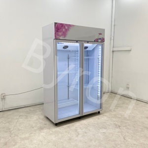 Enfriador Comercial <span class=keywords><strong>Byron</strong></span> para Flores Blancas, Sistema de Enfriamiento sin Escarcha y sin Drenaje para Floristerías - Product Image 2