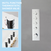 Robinet thermostatique en laiton chromé poli pour salle de bain, design contemporain, garantie 5 ans