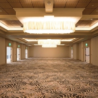 Tapis mural insonorisant moderne pour salle de conférence commerciale, style européen, en laine et nylon, anti-feu et anti-bactérien – Offre Spéciale