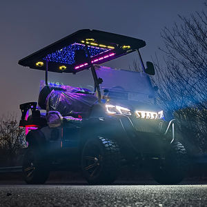 맞춤형 전기 앰비언트 조명 OEM 골프 헌팅 카트 버기 4인승 클럽 파티 - Product Image 5